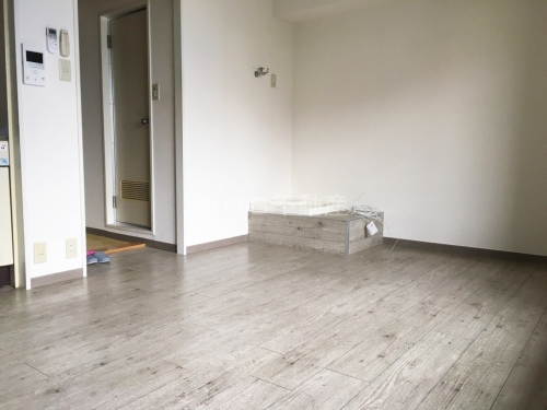グレーの木目調の床と洗濯パンと白い室内の画像3